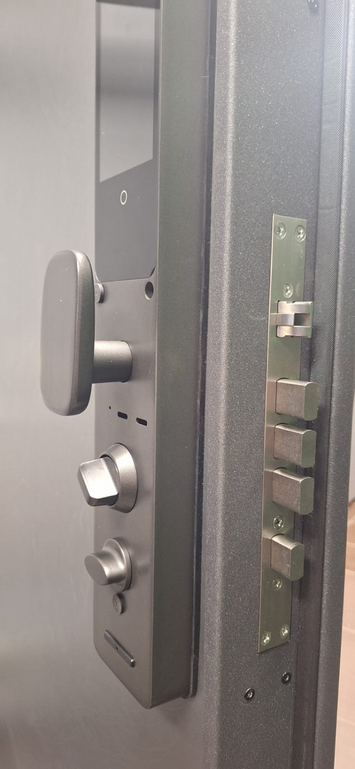 Смарт-замок RIVALE C-1 на входную дверь, Face ID, со сканером для распознавания отпечатка пальцев и смарт картой